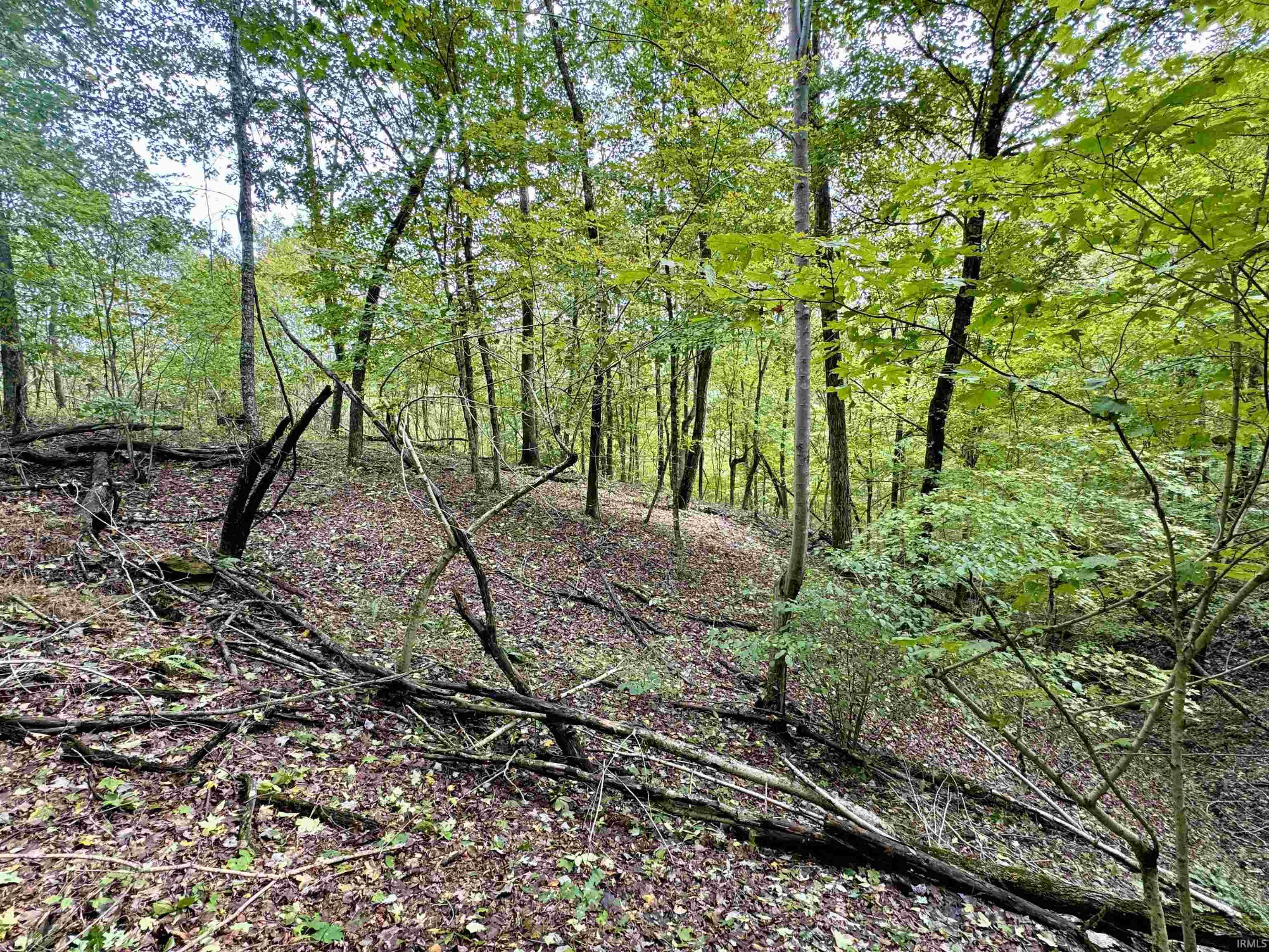 East Hurst Road Pekin, IN 47165 - Photo 17 of 28