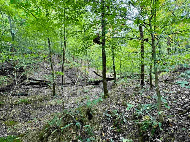 $85,000 | East Hurst Road, Pekin, IN 47165