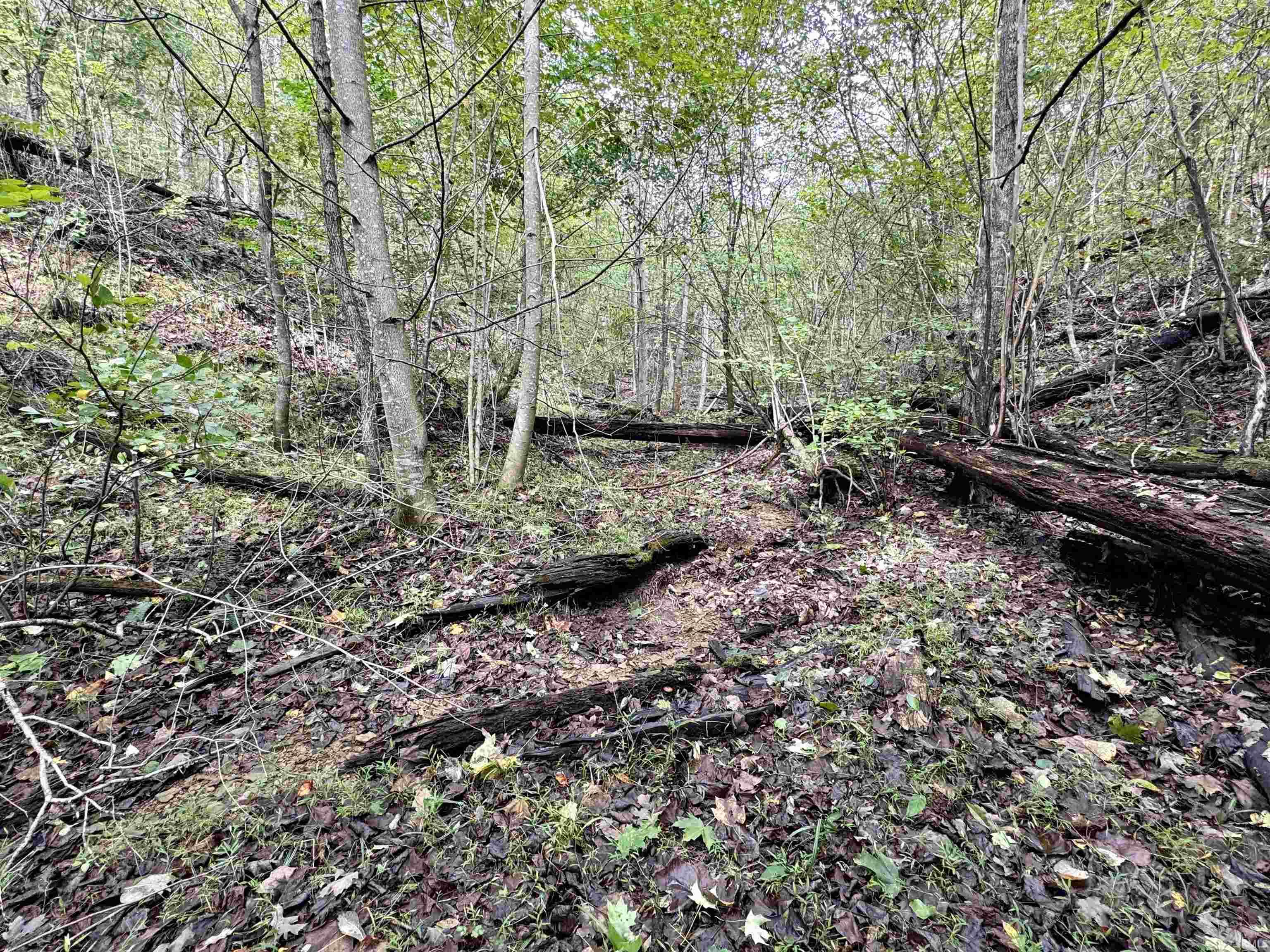 East Hurst Road Pekin, IN 47165 - Photo 20 of 28