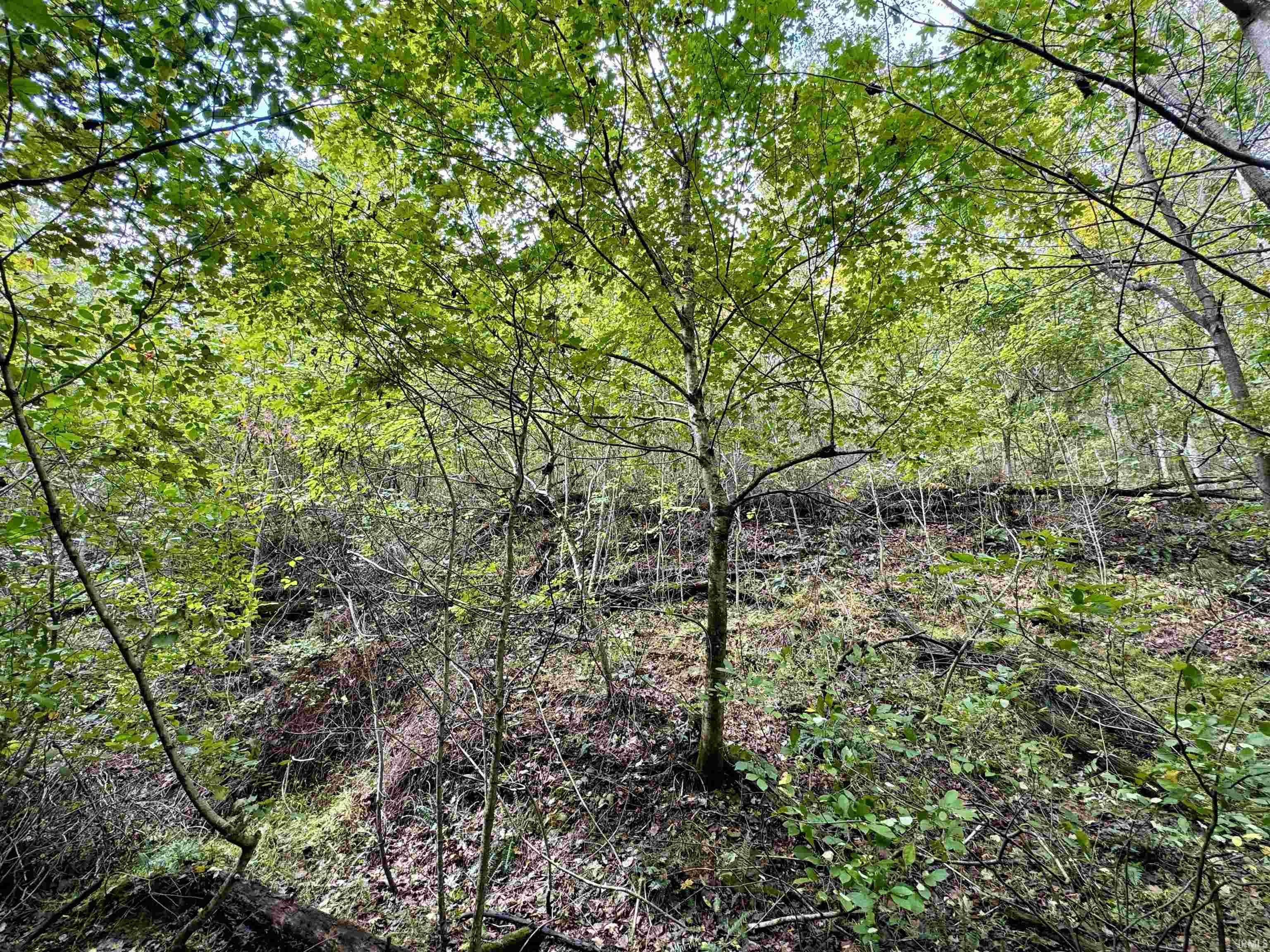 East Hurst Road Pekin, IN 47165 - Photo 21 of 28