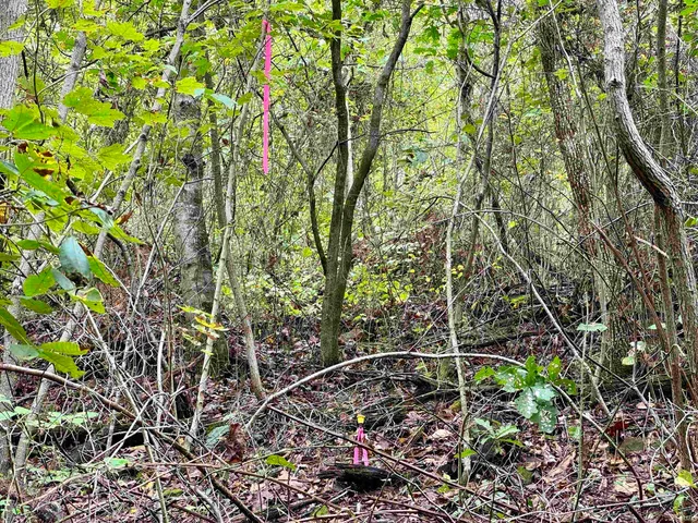 $85,000 | East Hurst Road, Pekin, IN 47165