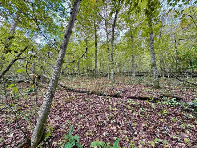 $85,000 | East Hurst Road, Pekin, IN 47165