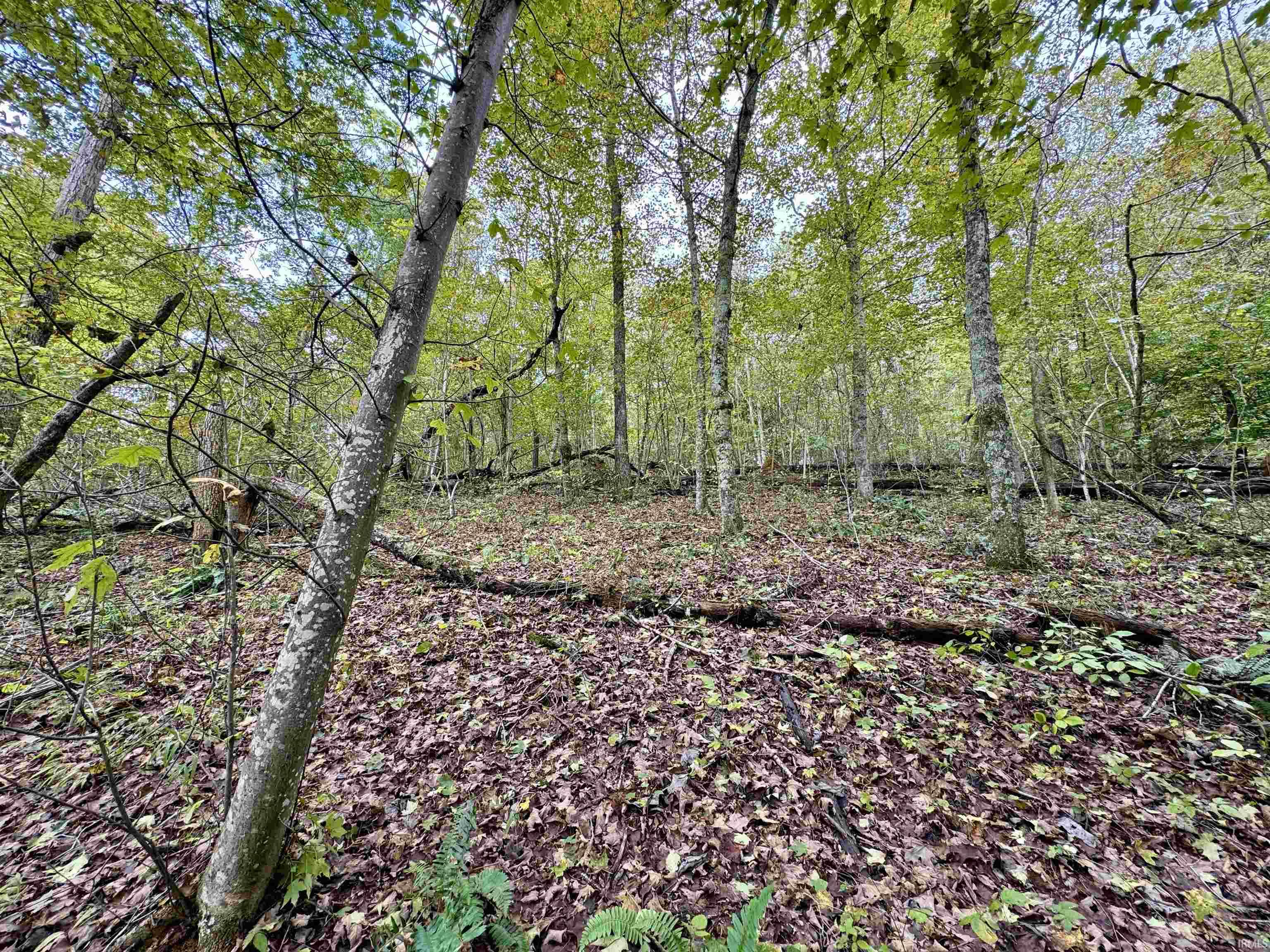 East Hurst Road Pekin, IN 47165 - Photo 23 of 28