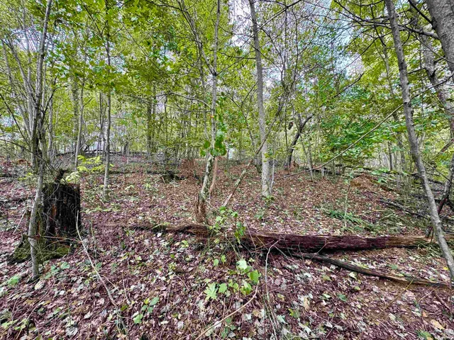 $85,000 | East Hurst Road, Pekin, IN 47165