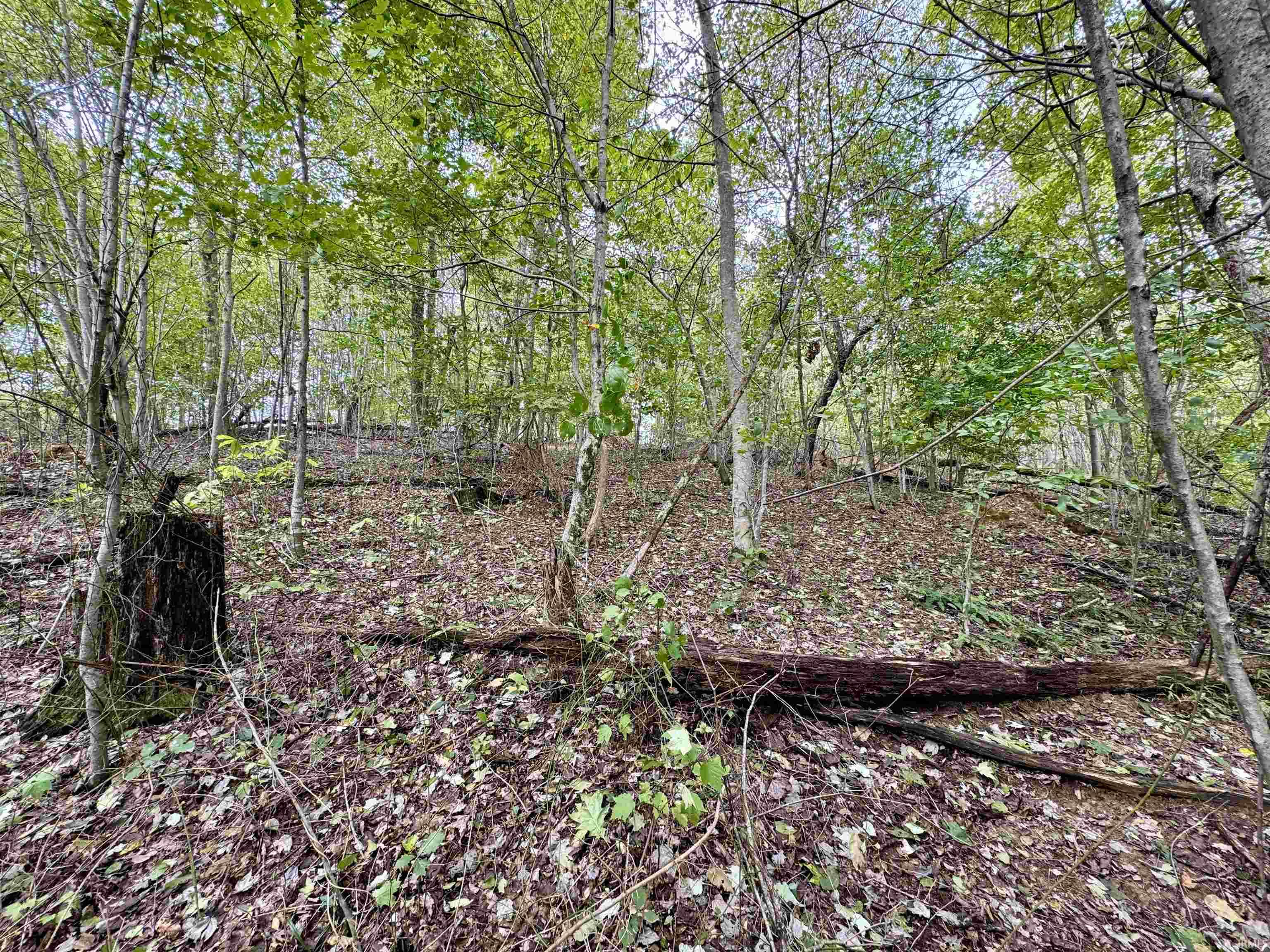 East Hurst Road Pekin, IN 47165 - Photo 24 of 28