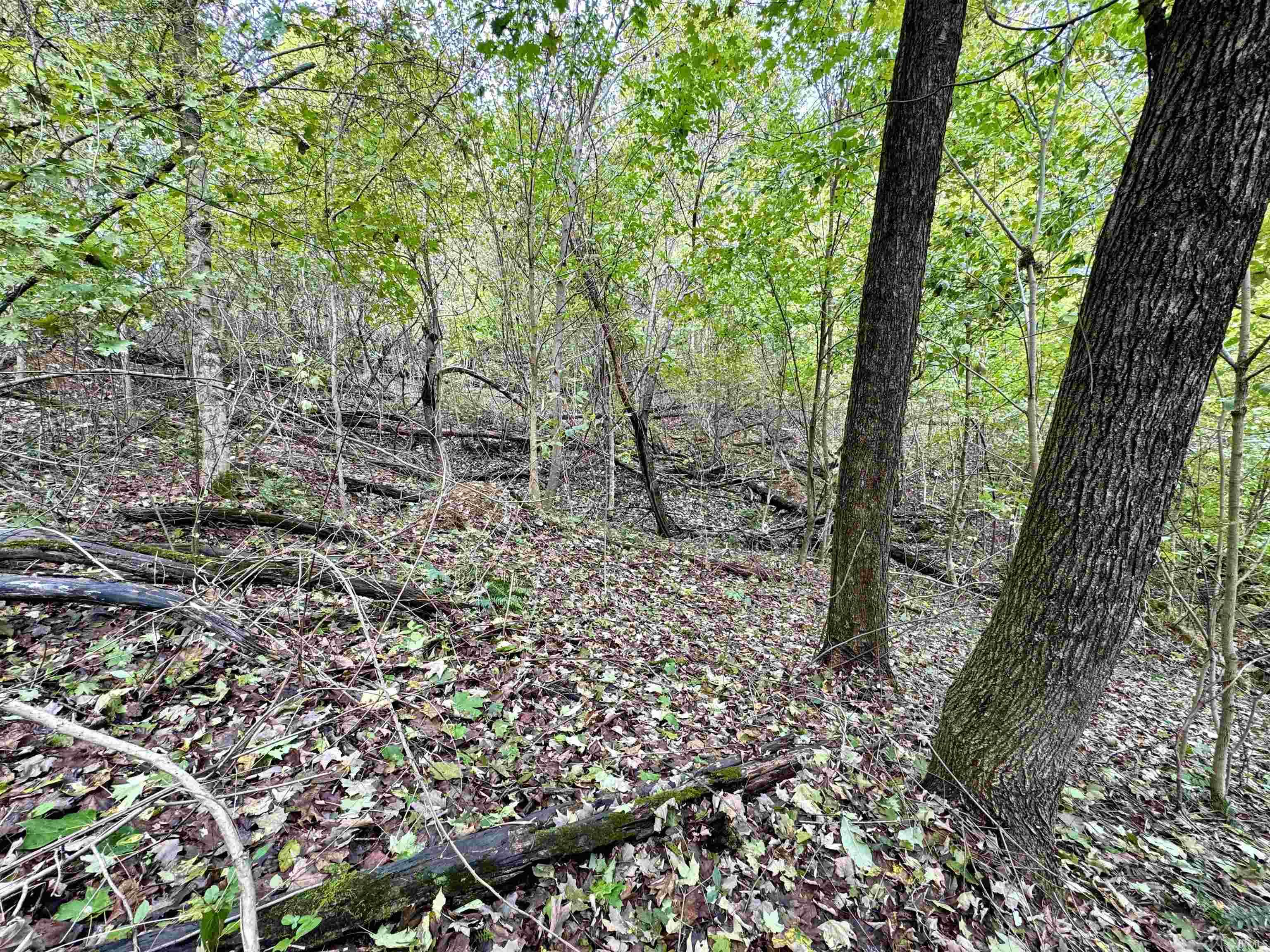 East Hurst Road Pekin, IN 47165 - Photo 25 of 28