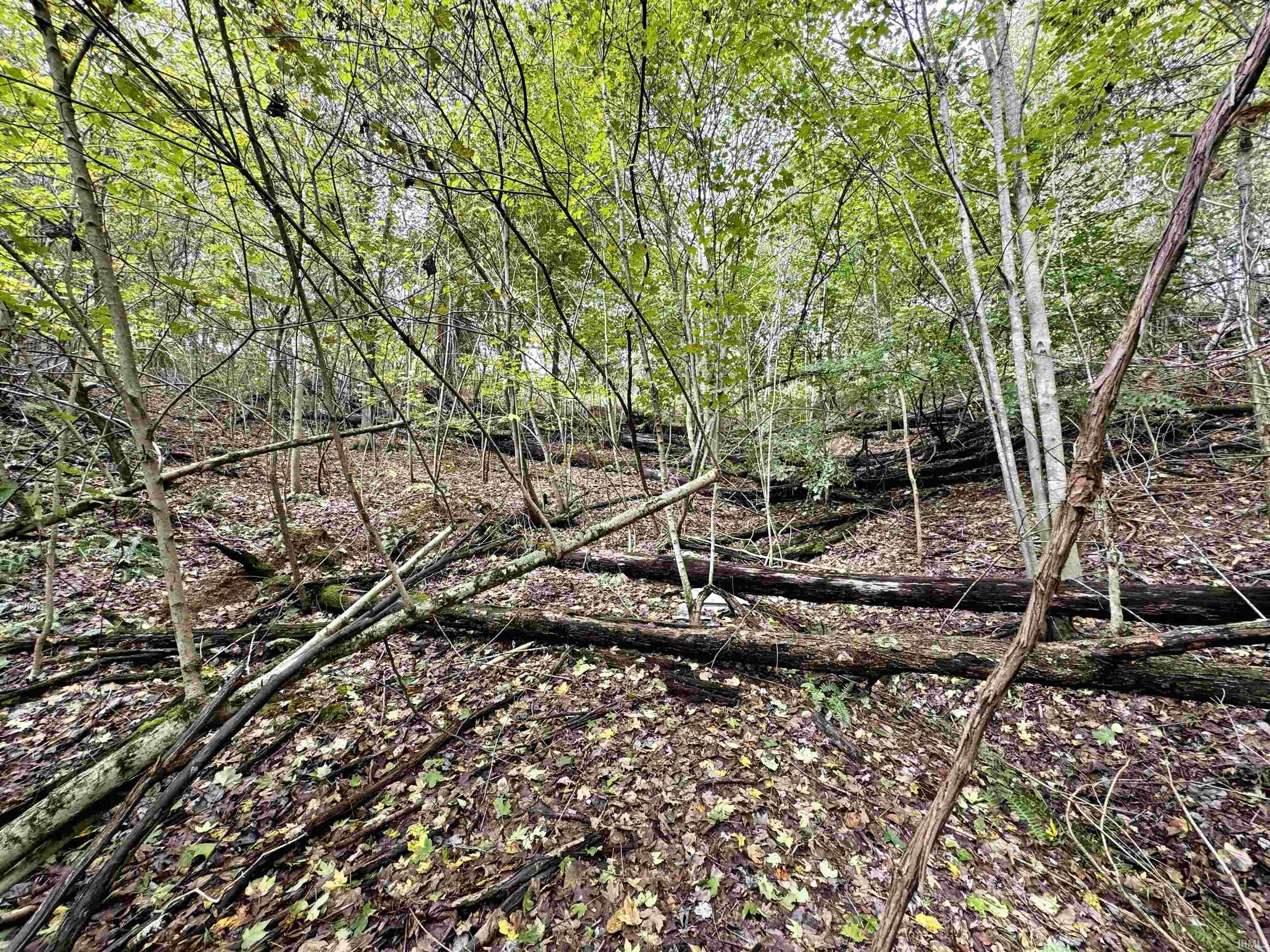 East Hurst Road Pekin, IN 47165 - Photo 26 of 28