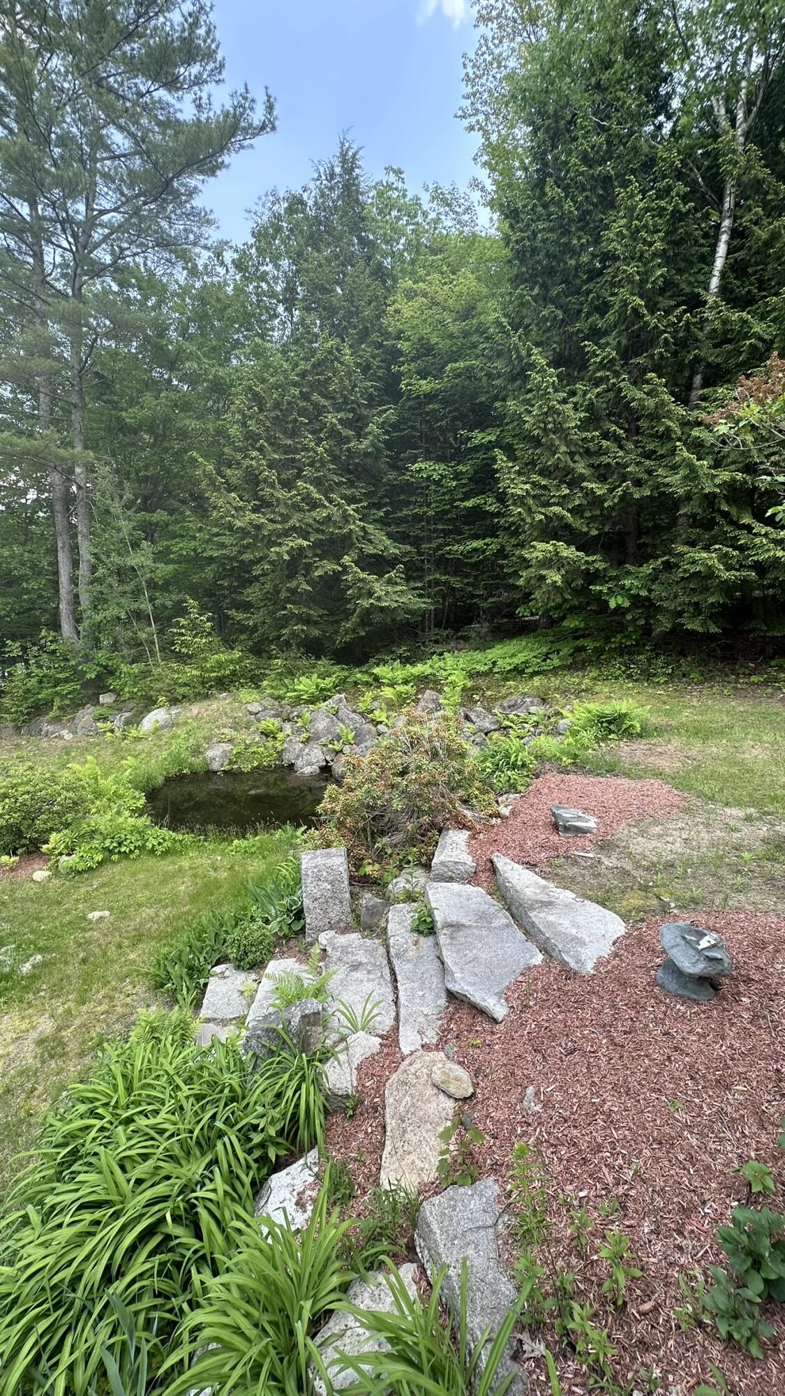 81 Maple Ridge Road Harrison, ME 04040 - Photo 30 of 32 Yard