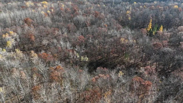 $25,000 | Tbd Grace Lake Road, Hinckley, MN 55037