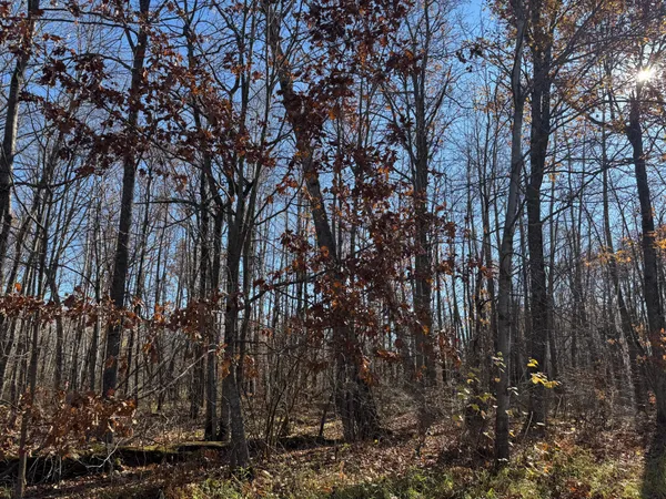 $23,500 | Tbd Grace Lake Road, Hinckley, MN 55037