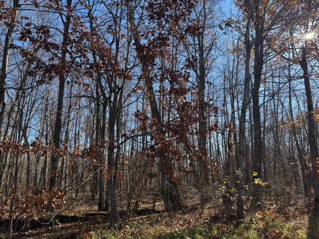 $25,000 | Tbd Grace Lake Road, Hinckley, MN 55037