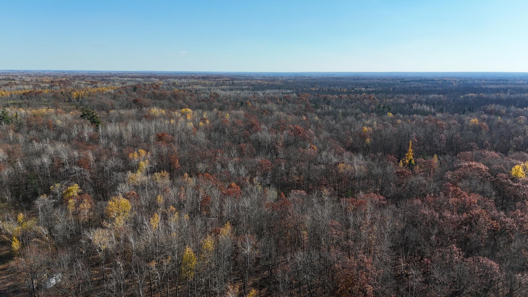 Tbd Grace Lake Road Hinckley, MN 55037 - Photo 10 of 10