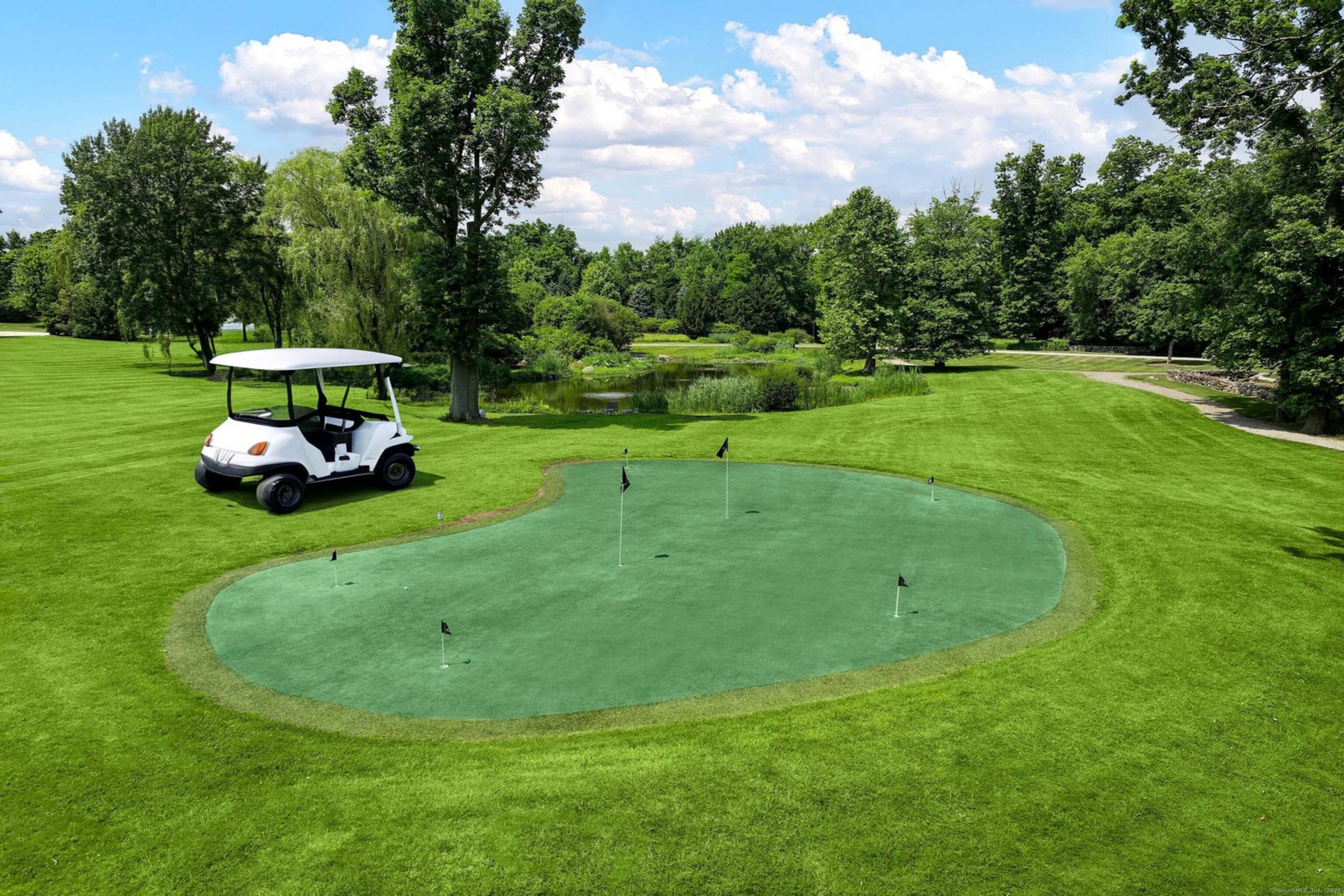 1619 Purchase Street Harrison, NY 10577 - Photo 32 of 37 Putting Green