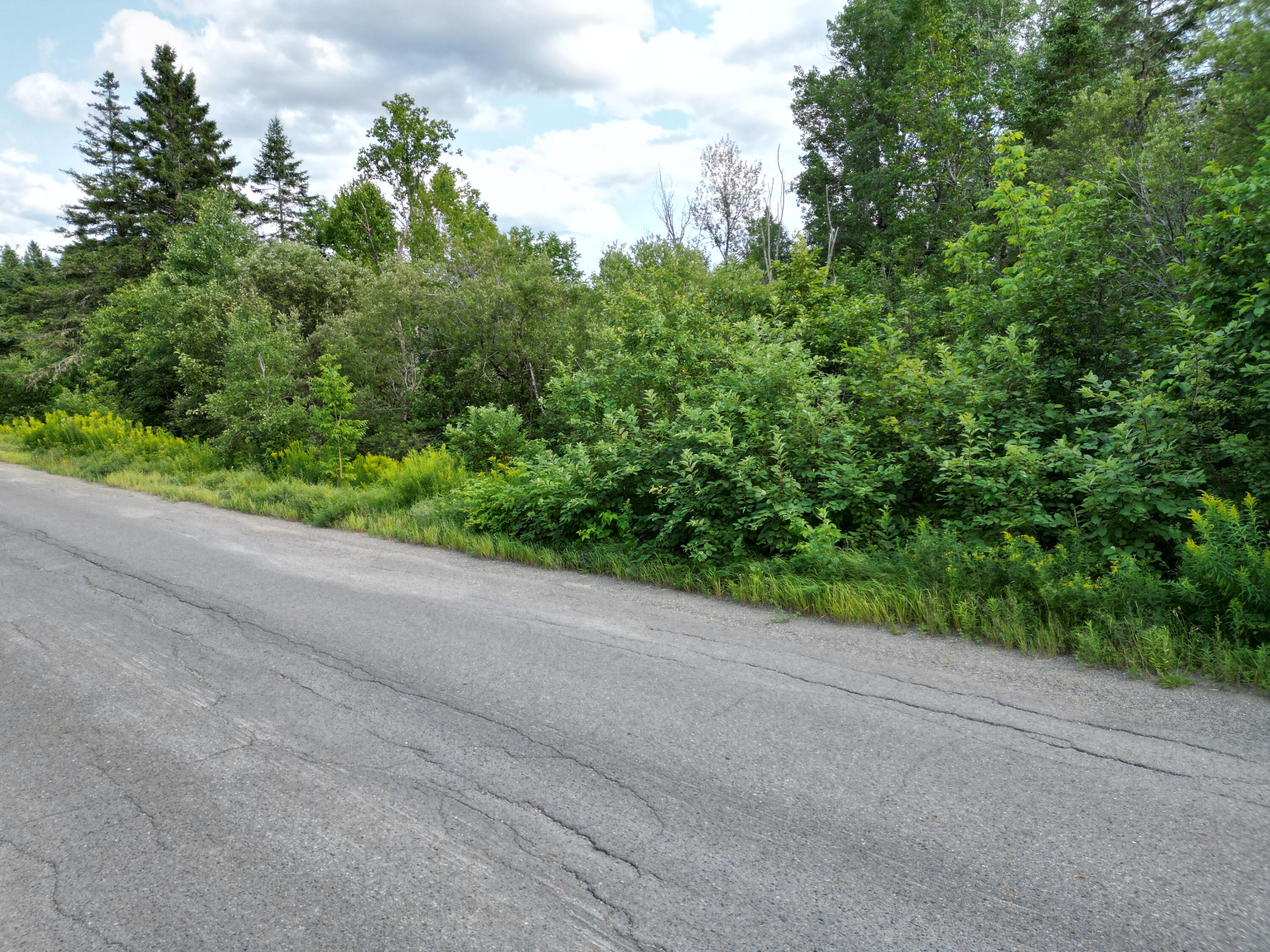 Lot 7 Happy Corner Road Patten, ME 04765 - Photo 23 of 23 DJI_0962