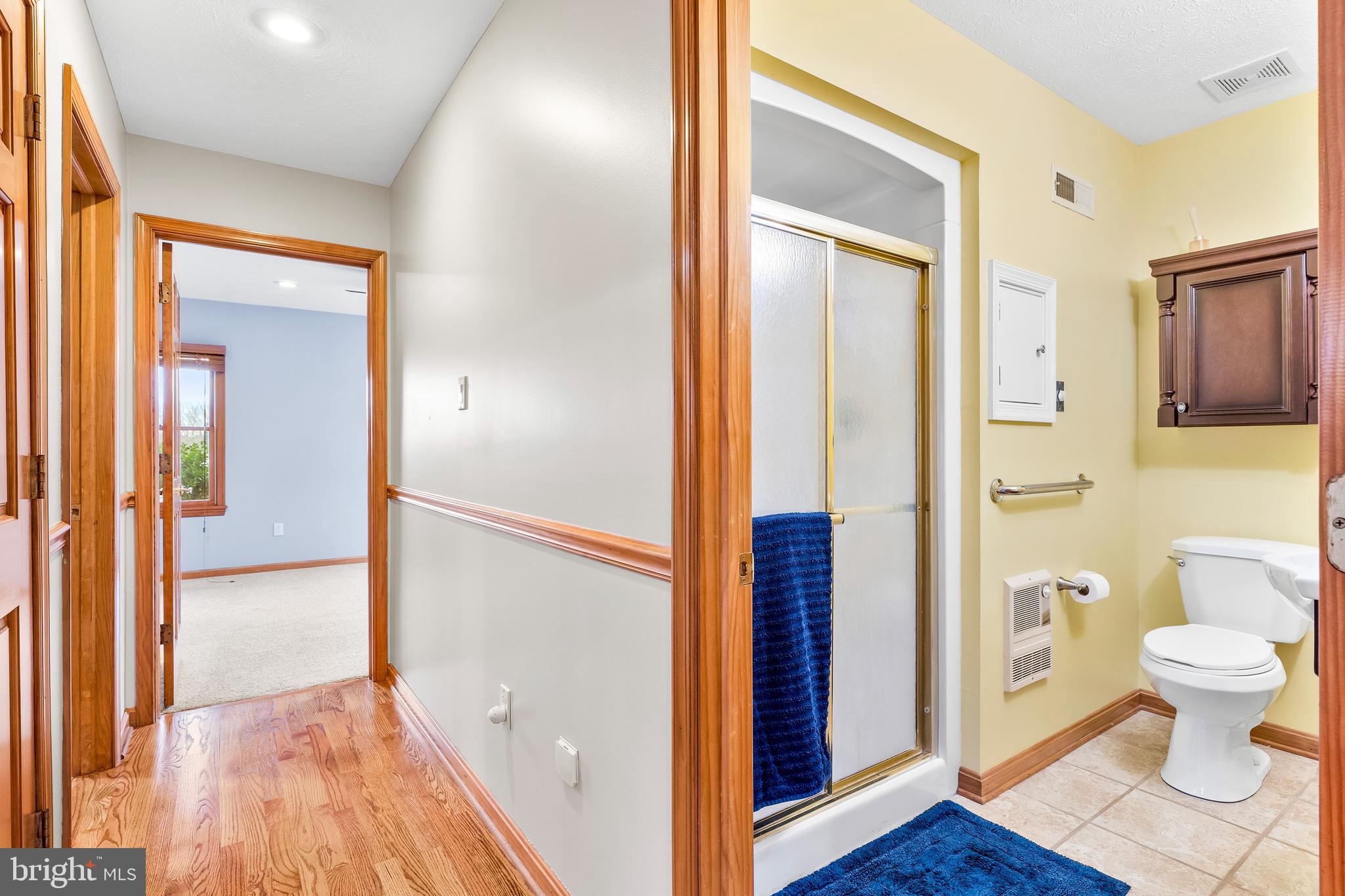 4311 Zircon Road Middletown, MD 21769 - Photo 28 of 71 Full Bathroom #2