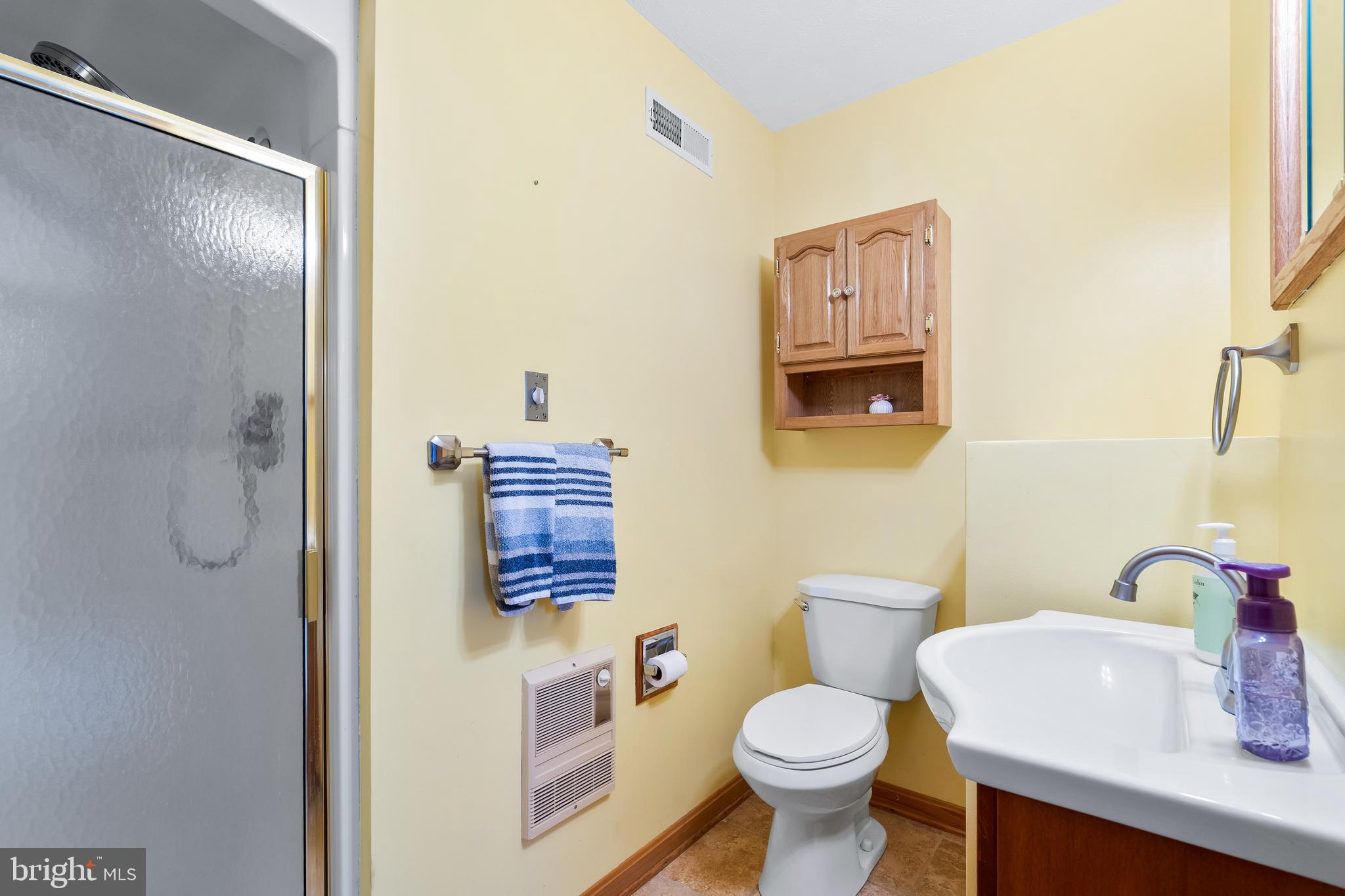 4311 Zircon Road Middletown, MD 21769 - Photo 30 of 71