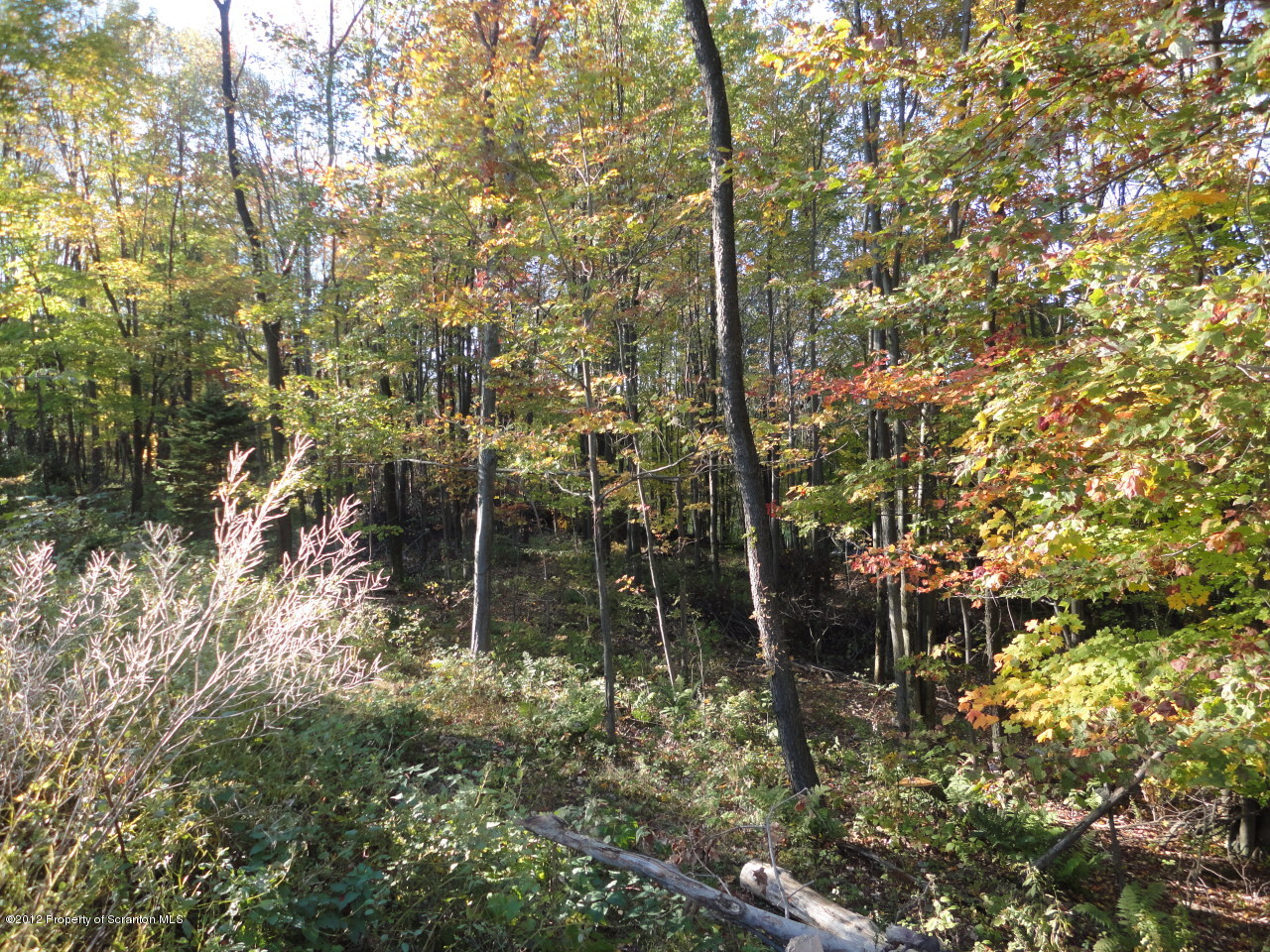 1479 Layton Road Clarks Summit, PA 18411 - Photo 10 of 18 Gallery Image 10