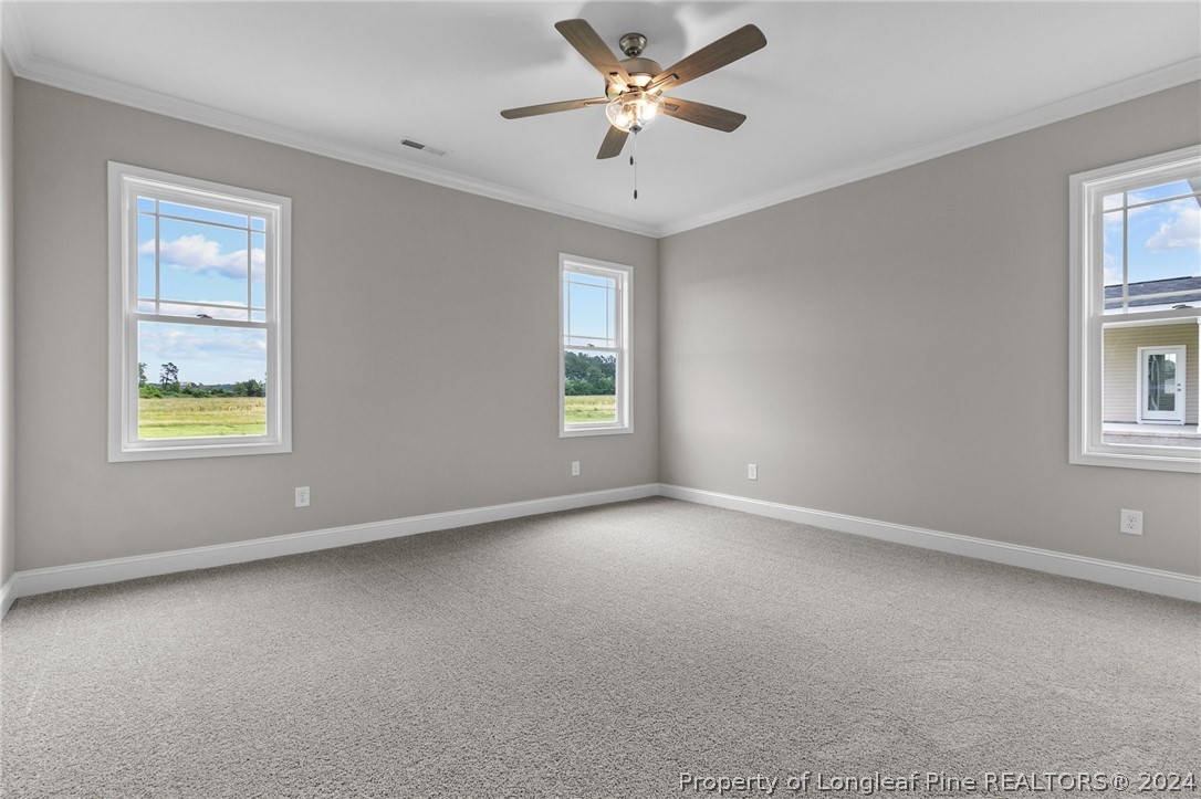 3240 Horseshoe Road, Unit LOT 4 Autryville, NC 28318 - Photo 21 of 41 Gallery Image 21