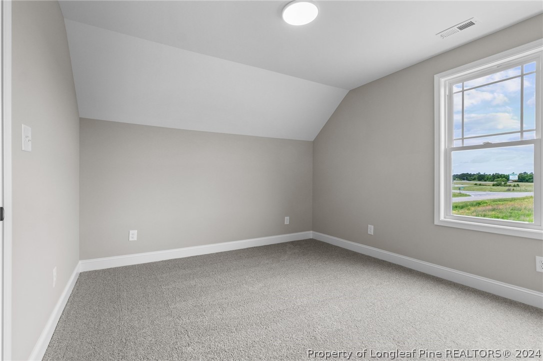 3240 Horseshoe Road, Unit LOT 4 Autryville, NC 28318 - Photo 32 of 41 Gallery Image 32