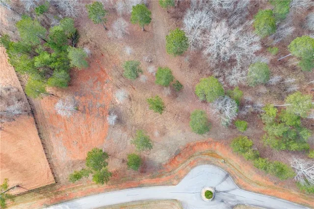 a view of plant in a garden