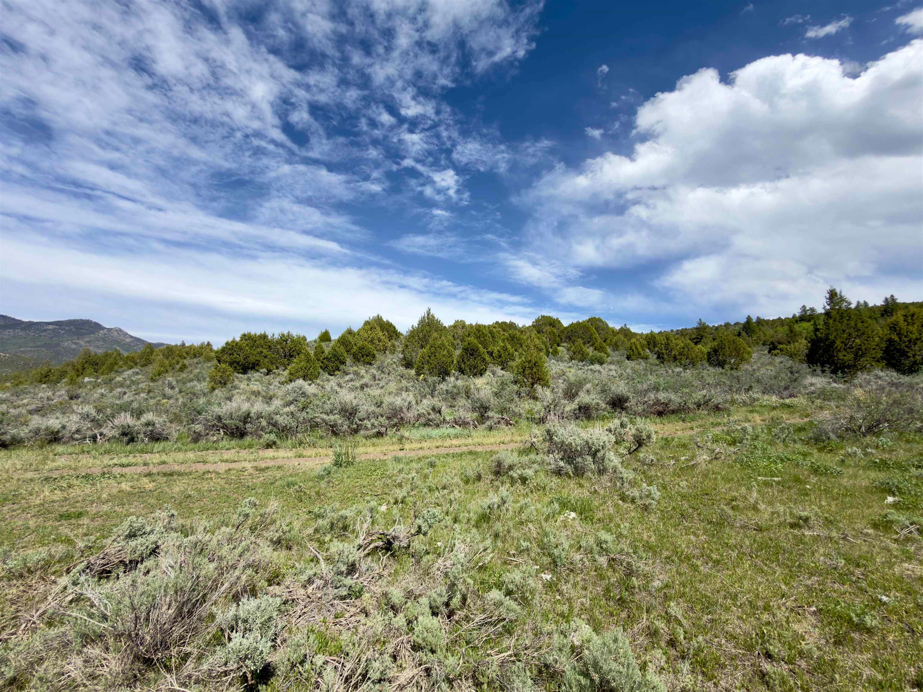 Tbd Fish Creek Road Lava Hot Springs, ID 83246 - Photo 27 of 50 Gallery Image 27