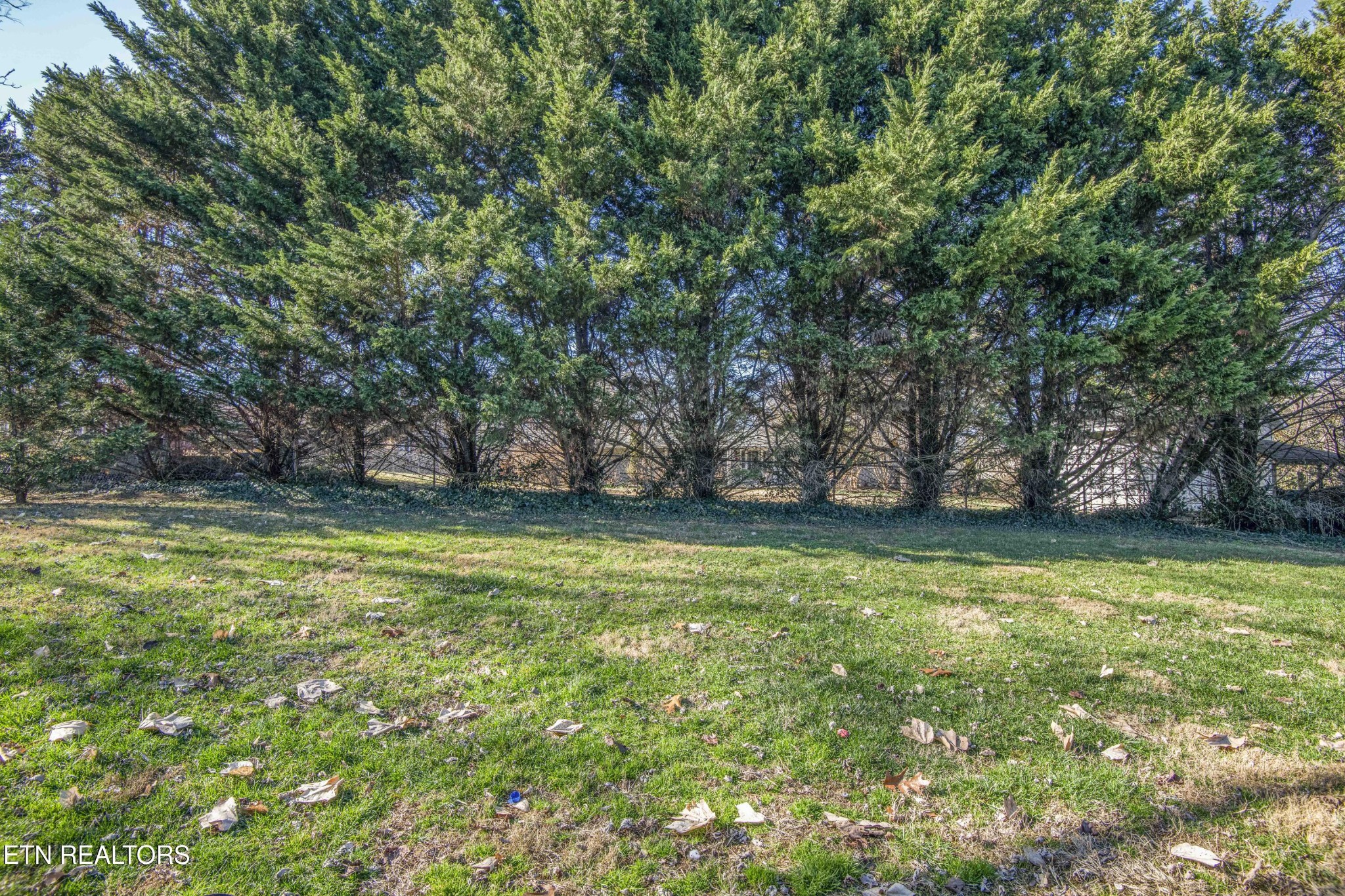 3729 Cherrylog Road Knoxville, TN 37921 - Photo 56 of 57 Gallery Image 56