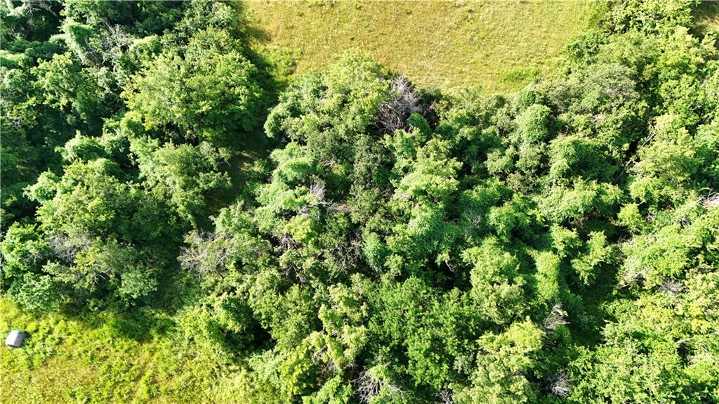 Hackberry Road Fort Scott, KS 66701 - Photo 16 of 26