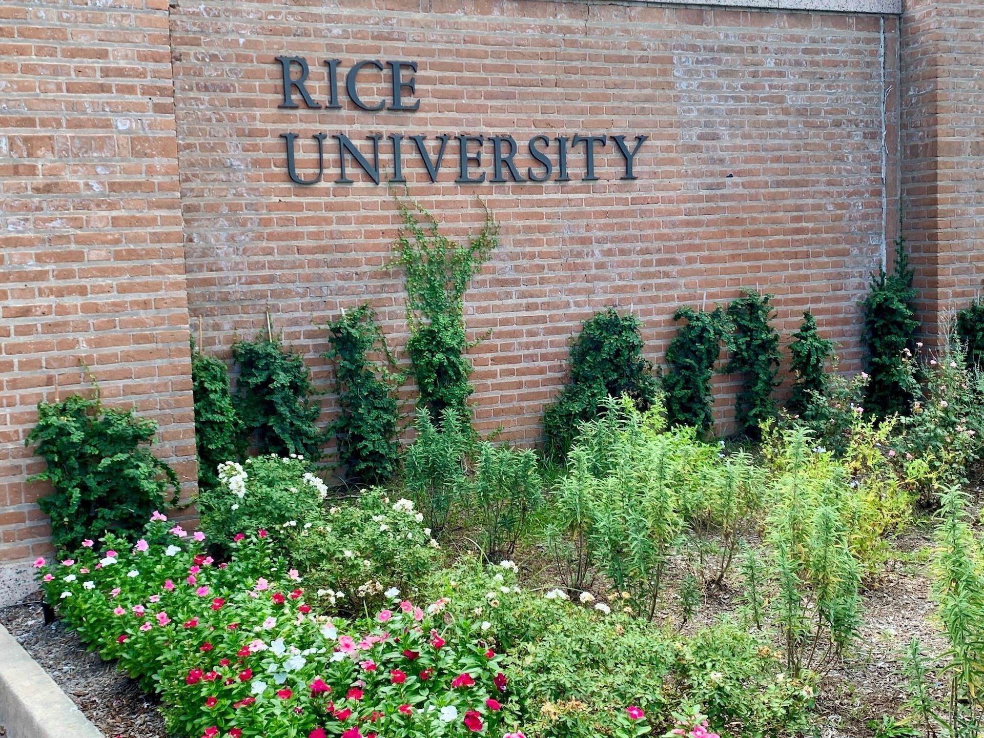 1205 Autrey Street, Unit 9 Houston, TX 77006 - Photo 22 of 32 A short walk or bike ride to Rice University.