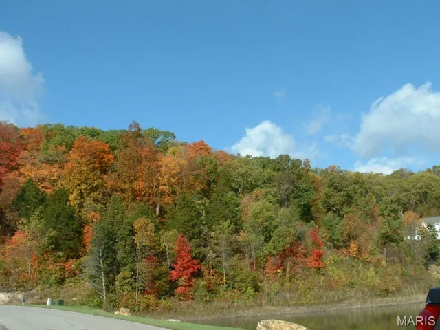 $60,000 | 329 Berg Crossing Drive, Augusta, MO 63332