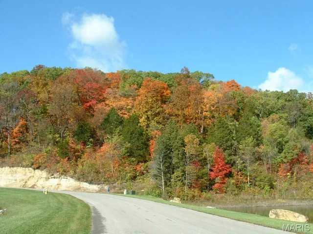 $60,000 | 329 Berg Crossing Drive, Augusta, MO 63332