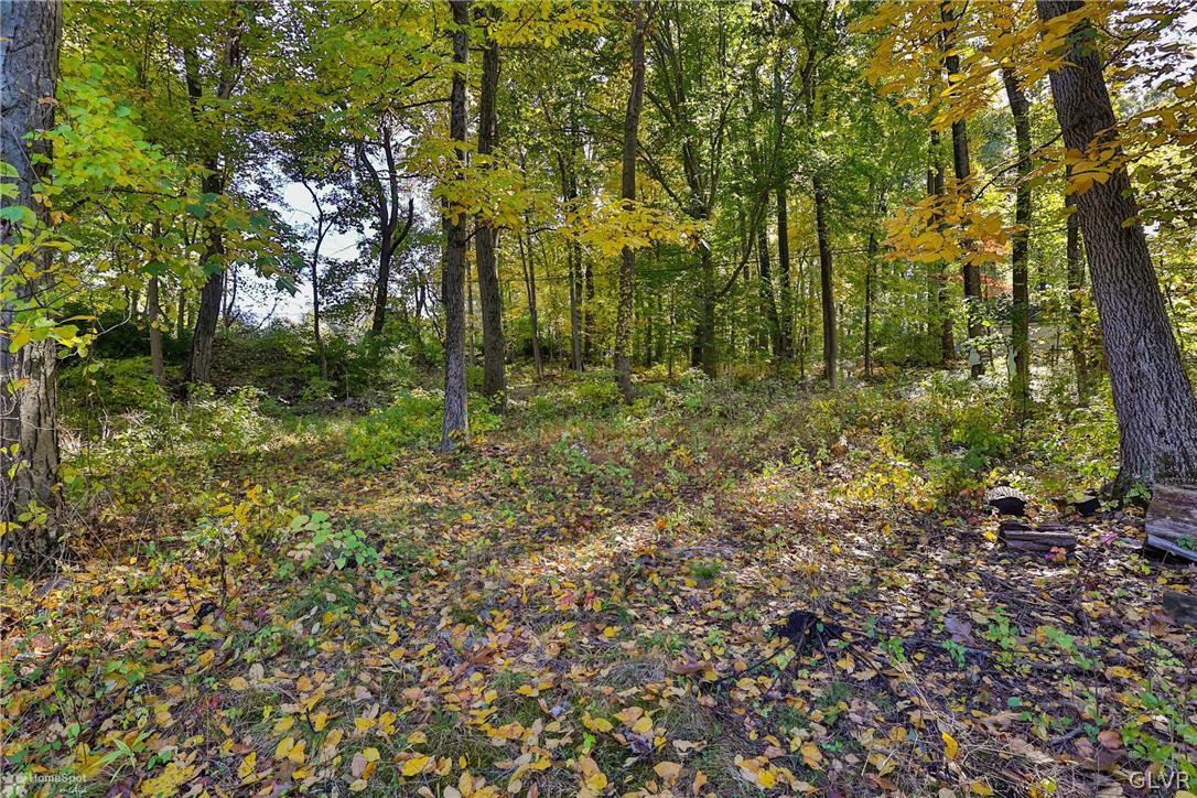 5877 Limeport Road Emmaus, PA 18049 - Photo 5 of 50 Gallery Image 5