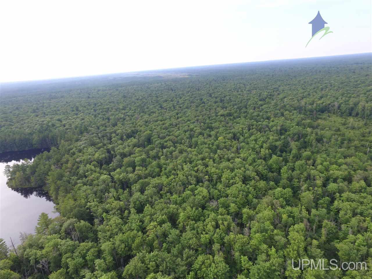 6038 West Co Road Seney, MI 49883 - Photo 9 of 36