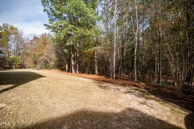 a view of empty space with trees