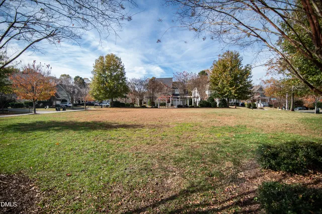 a view of a field with trees in the background