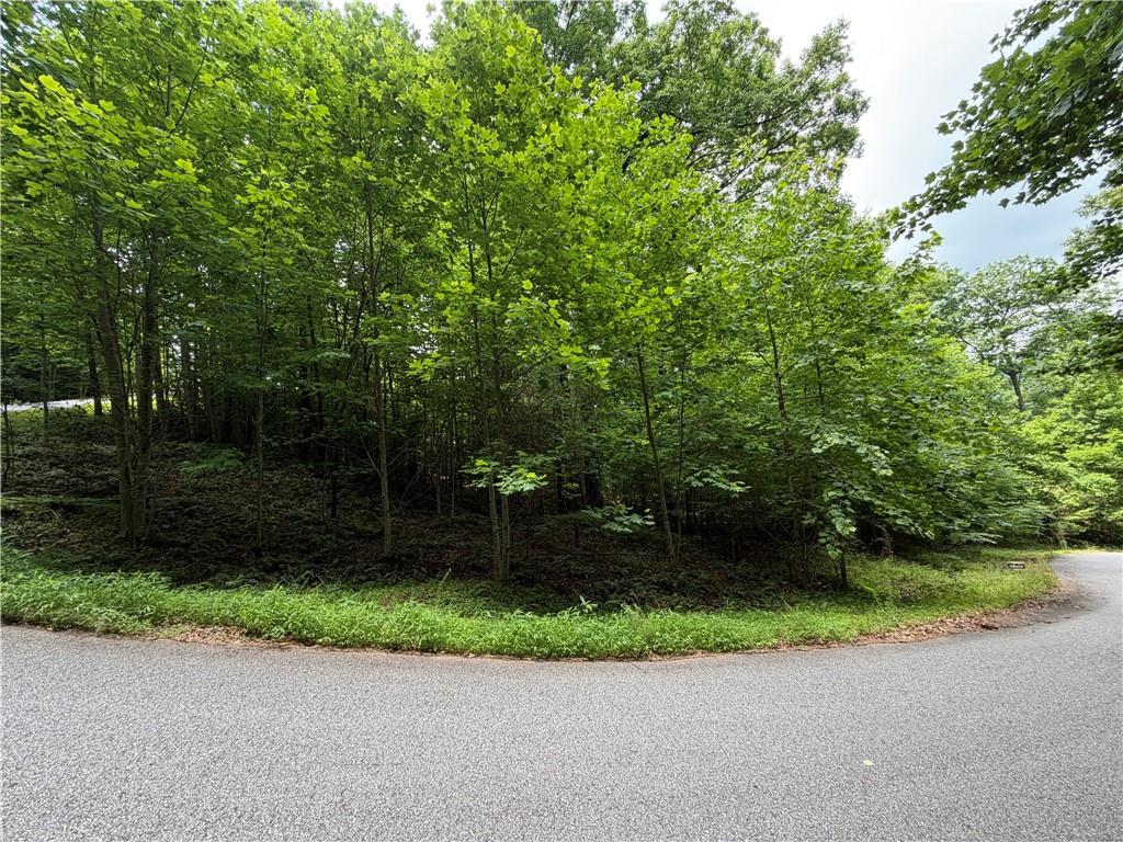 Lot 19 Mill Ridge Road Hiawassee, GA 30546 - Photo 2 of 5