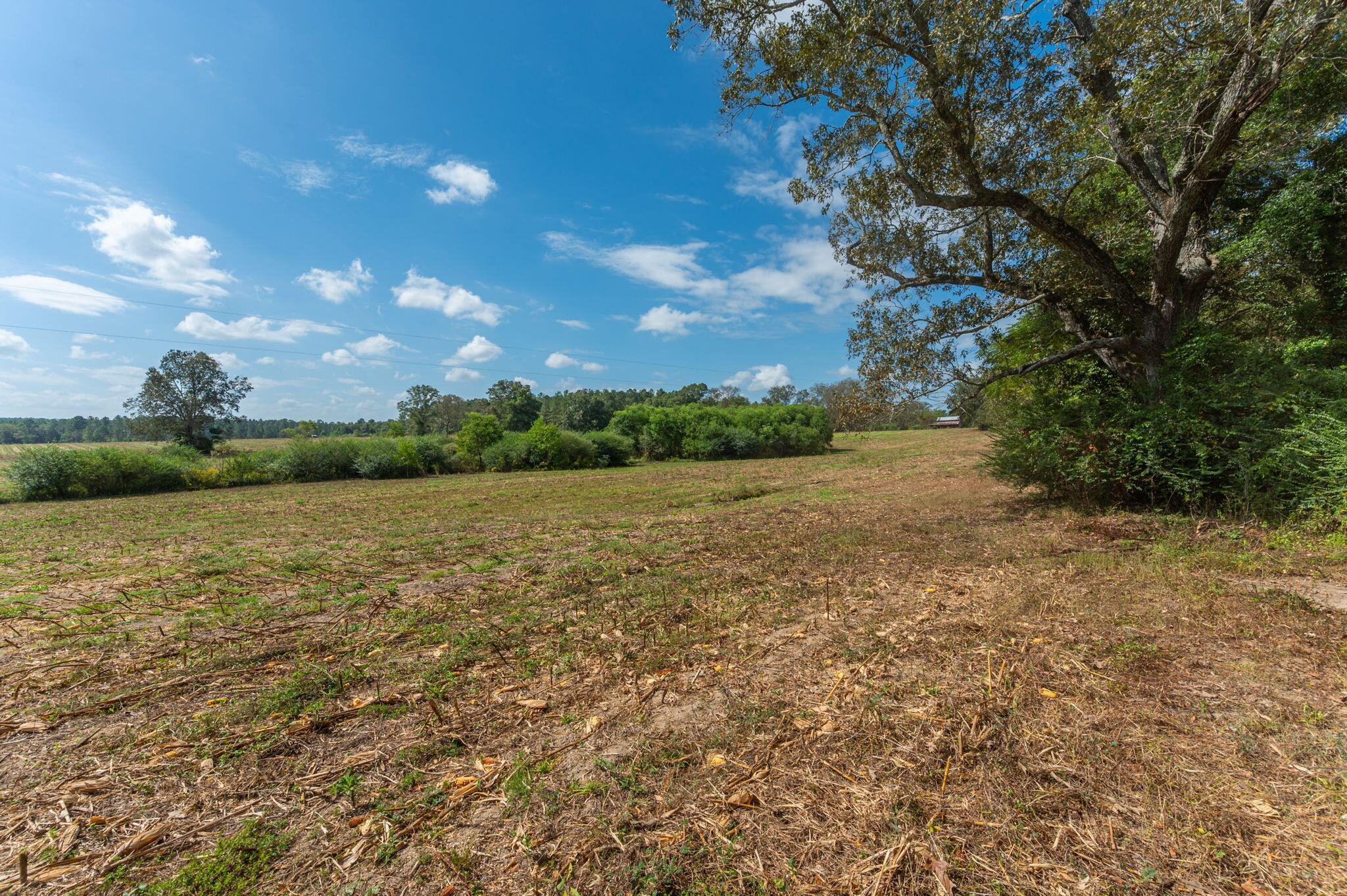 3-acre -d Prescott Road Florala, AL 36442 - Photo 12 of 36 a view of a lake with houses