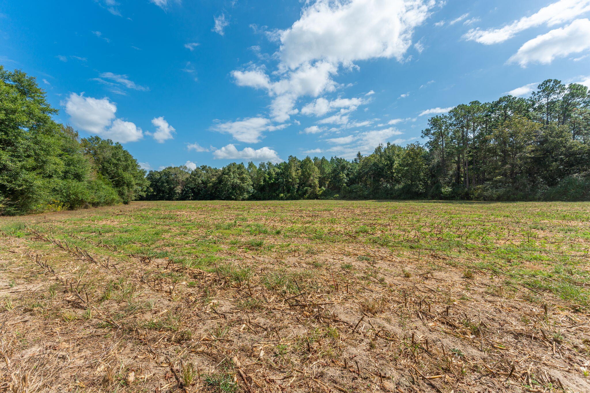 3-acre -d Prescott Road Florala, AL 36442 - Photo 22 of 36 a view of a lake view