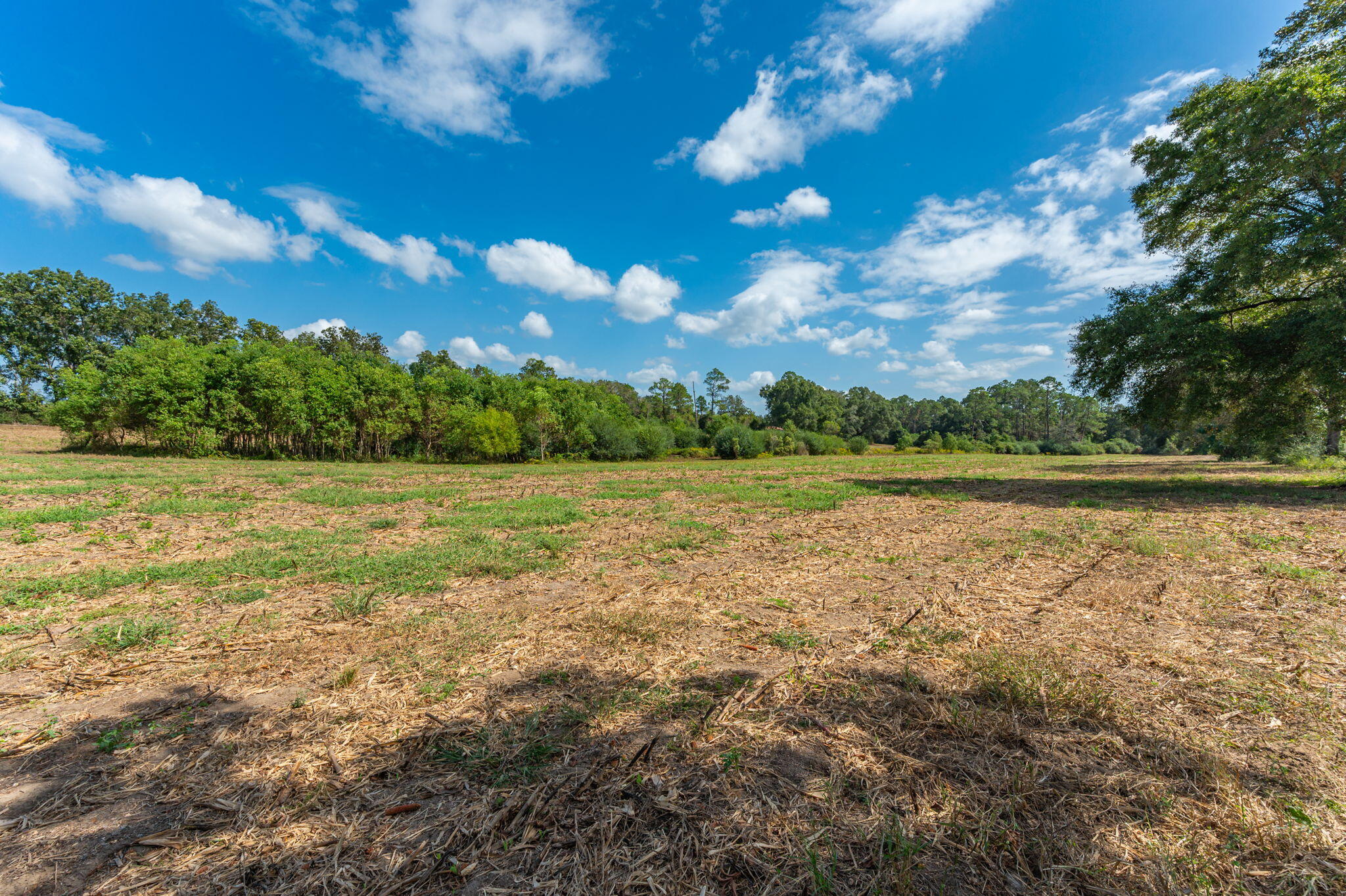 3-acre -d Prescott Road Florala, AL 36442 - Photo 28 of 36 a view of a lake with houses in the background