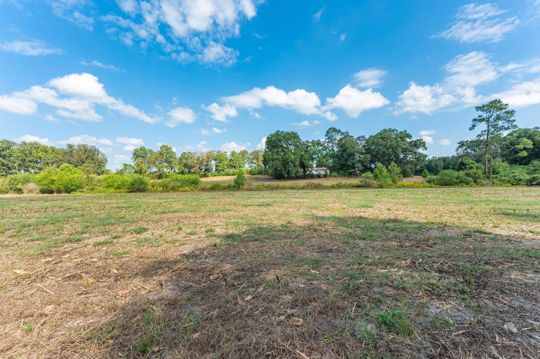 3-acre -d Prescott Road Florala, AL 36442 - Photo 33 of 36 a view of a lake with a big yard