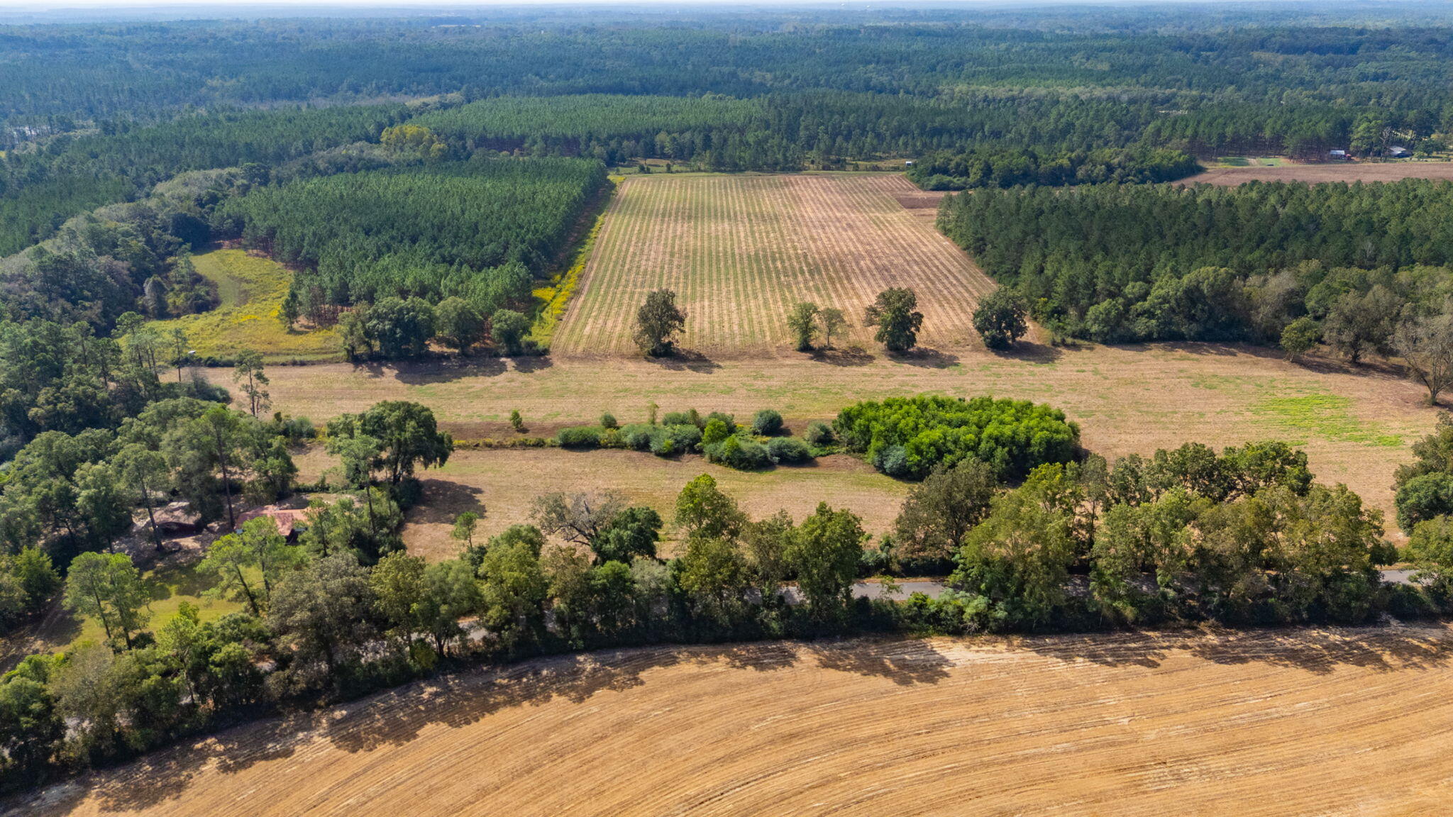 3-acre -d Prescott Road Florala, AL 36442 - Photo 36 of 36 a view of lake