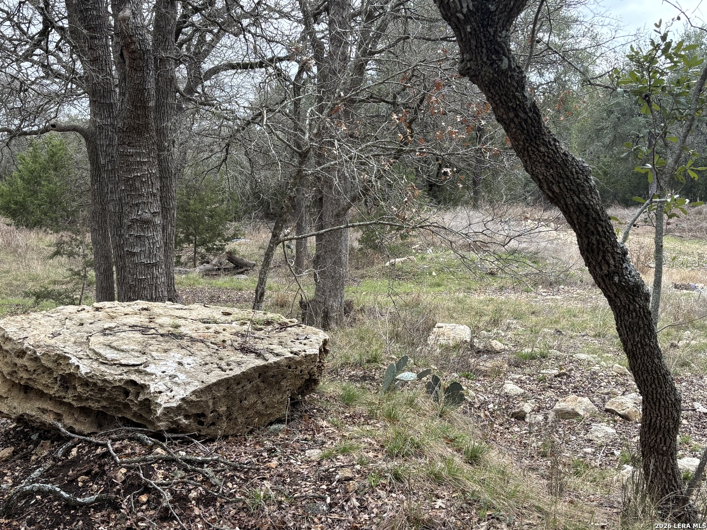 30685 Rice Bulverde, TX 78163 - Photo 21 of 33