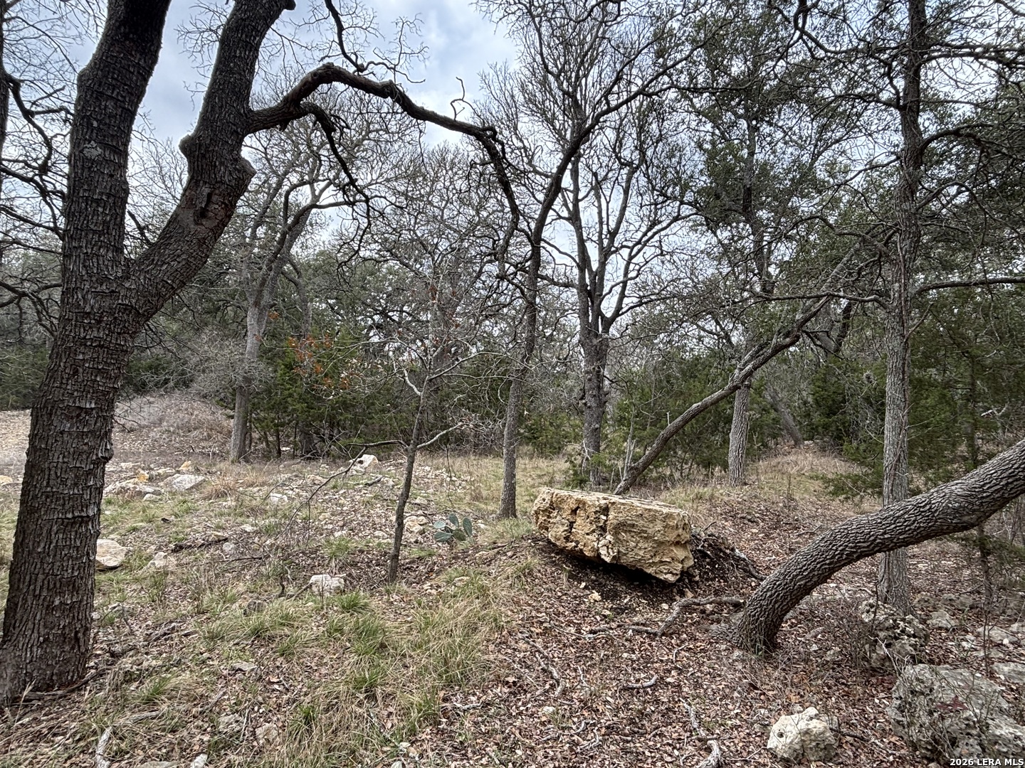 30685 Rice Bulverde, TX 78163 - Photo 25 of 33