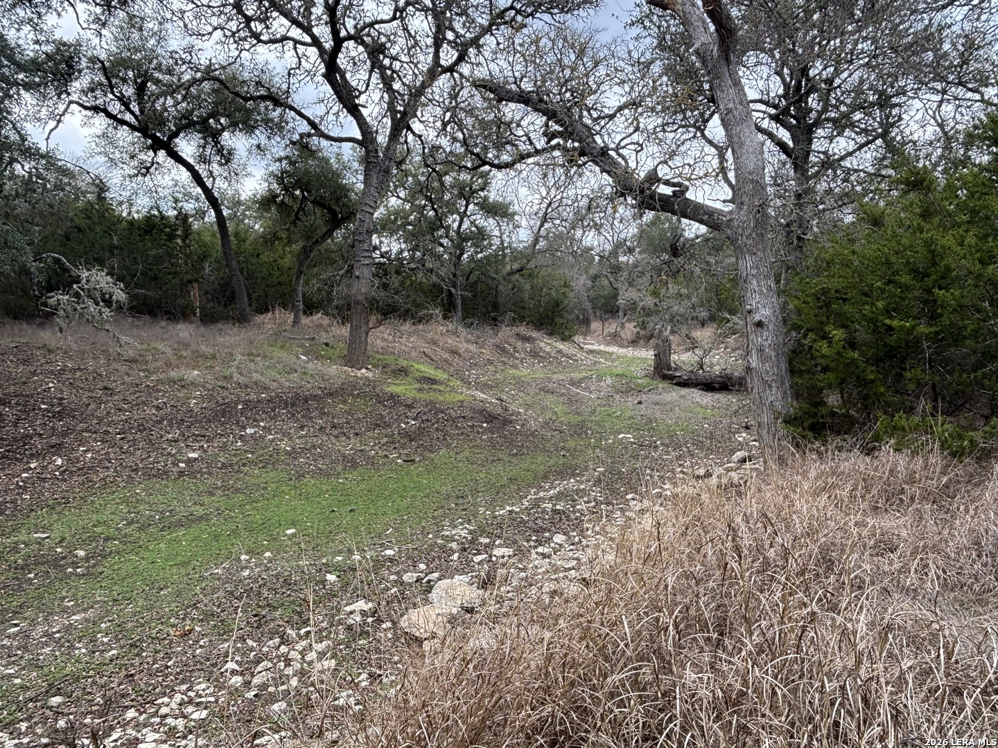 30685 Rice Bulverde, TX 78163 - Photo 27 of 33