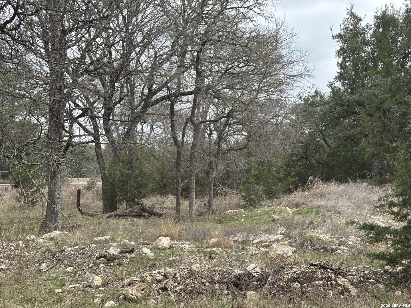 30685 Rice Bulverde, TX 78163 - Photo 32 of 33
