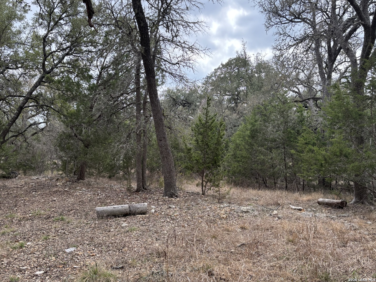 30685 Rice Bulverde, TX 78163 - Photo 33 of 33