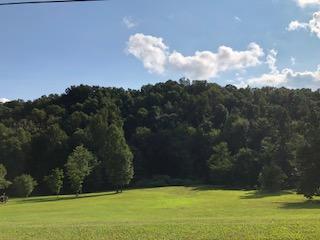 8 Brethren Church Road White Pine, TN 37890 - Photo 1 of 14 IMG_7734