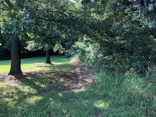 8 Brethren Church Road White Pine, TN 37890 - Photo 13 of 14 IMG_7723