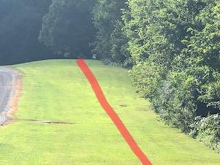 8 Brethren Church Road White Pine, TN 37890 - Photo 14 of 14 IMG_7724