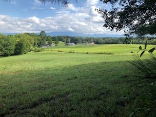 8 Brethren Church Road White Pine, TN 37890 - Photo 5 of 14 IMG_7714