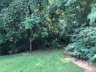 8 Brethren Church Road White Pine, TN 37890 - Photo 7 of 14 IMG_7722